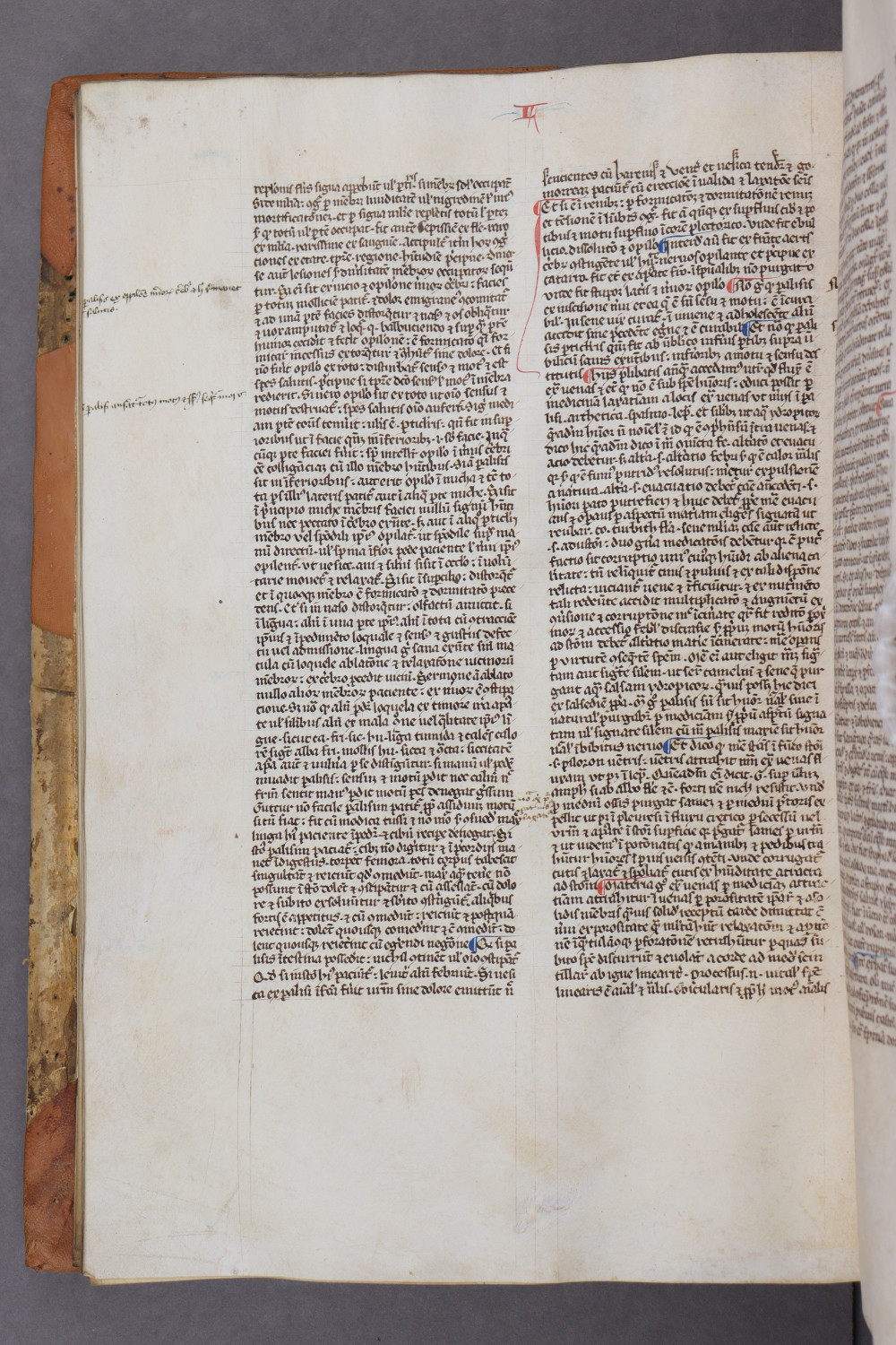 Folio 53 verso
